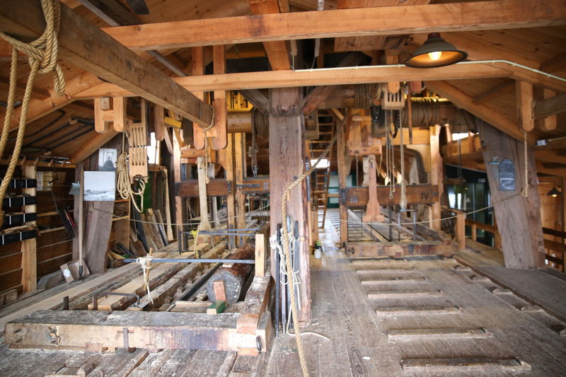 [Skansen Zaanse Schans, wiatrak - tartak Het Jonge Schaap]