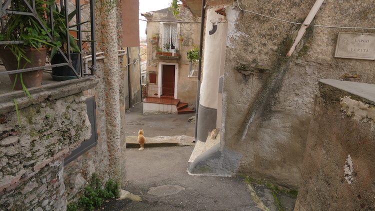 Lamezia - wąska uliczka w Nicastro
