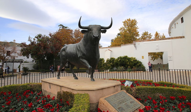 !Rzeźba byka przed arena walk byków w Rondzie - Plaza de Toros