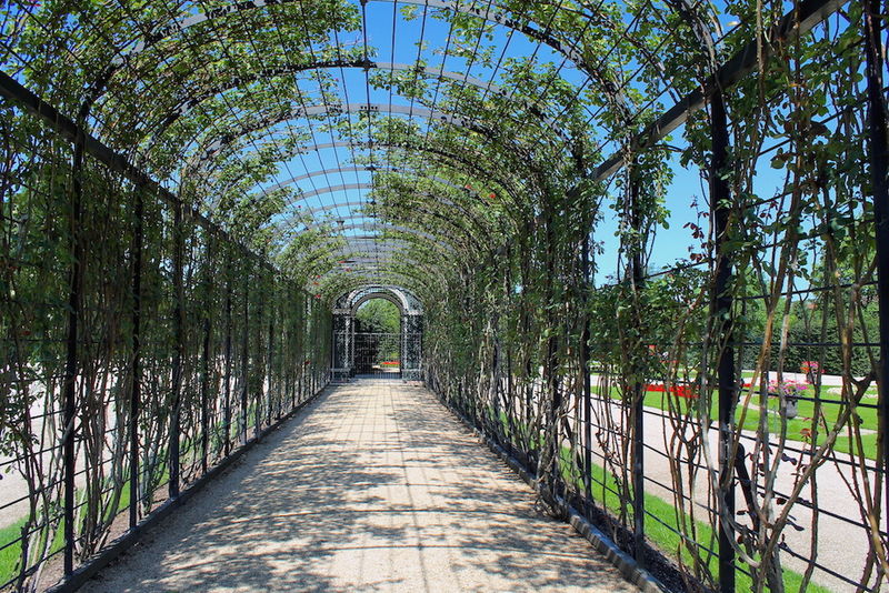 [Spacer po kompleksie Pałacu Schönbrunn w Wiedniu]