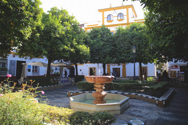 !Plaza de Doña Elvira - dzielnica Santa Cruz w Sewilli