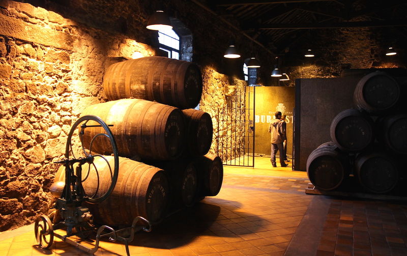 Villa de Gaia - podczas zwiedzania piwnic wina porto Burmaster