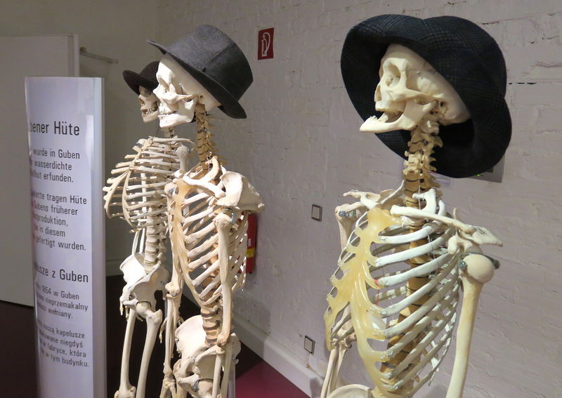 Plastinarium w Gubinie (Guben)