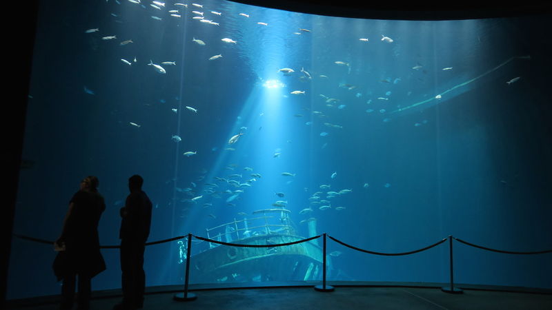 Ozeaneum (Oceanarium) w Stralsundzie