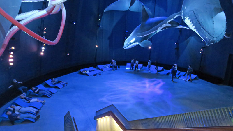 Ozeaneum - Stralsund