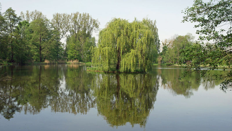 Ogrody pałacowe w Nieborowie