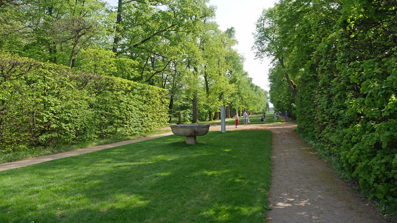 Ogrody - kompleks pałacowy, Nieborów