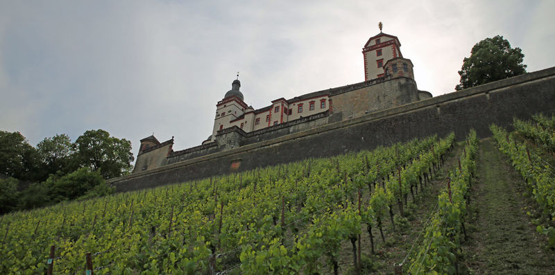Widok na winnice i Twierdzę Marienberg w Würzburg - droga do zamku