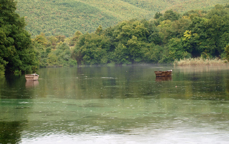 !Crni Drin (rzeka Czarny Drin), okolice Jeziora Ochrydzkiego