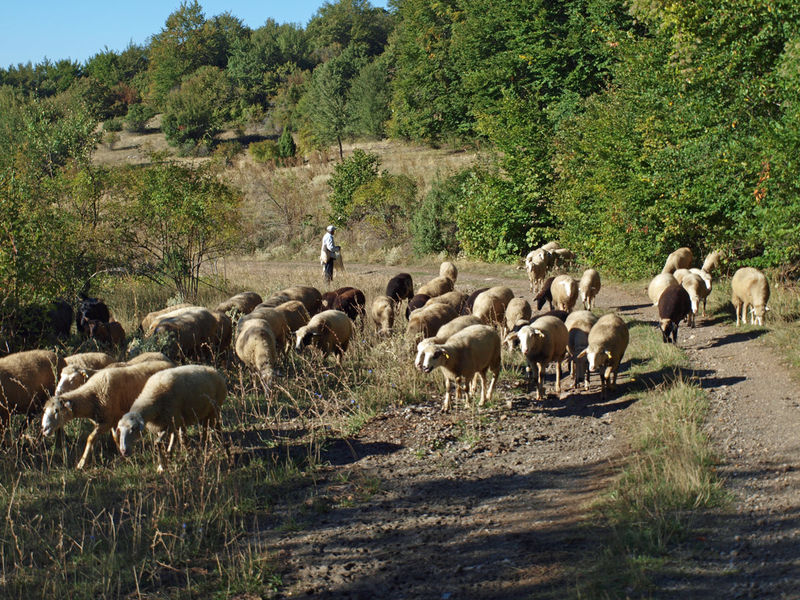 Góry Galiczica, okolice Jeziora Ochrydzkiego