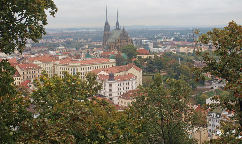 Katedra Świętych Apostołów Piotra i Pawła w Brnie