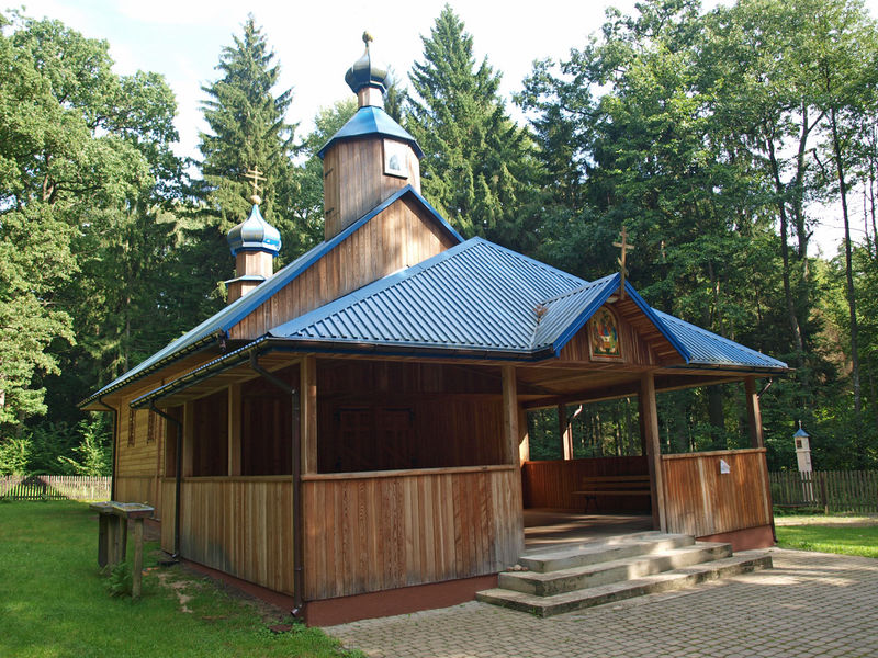 Krynoczka - Puszcza Białowieska