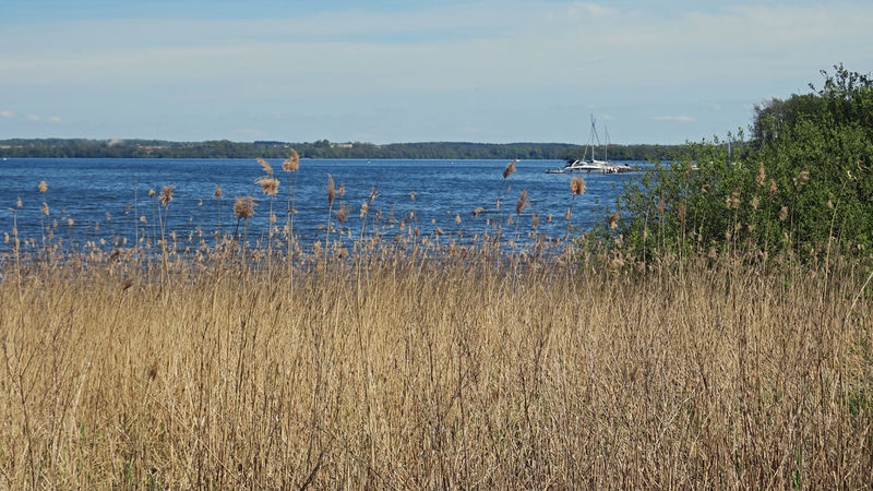 Schwerin - jezioro