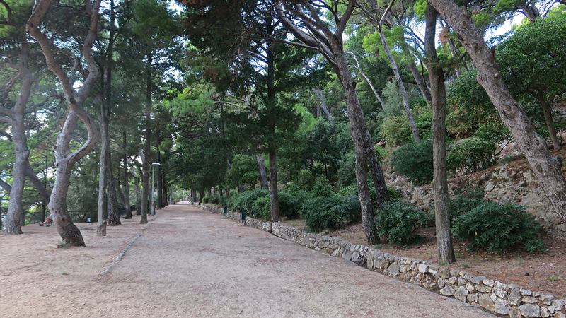 Gradac Park - Dubrownik