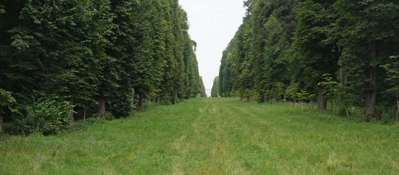 Park i droga do pałacu Esterháza w Fertőd