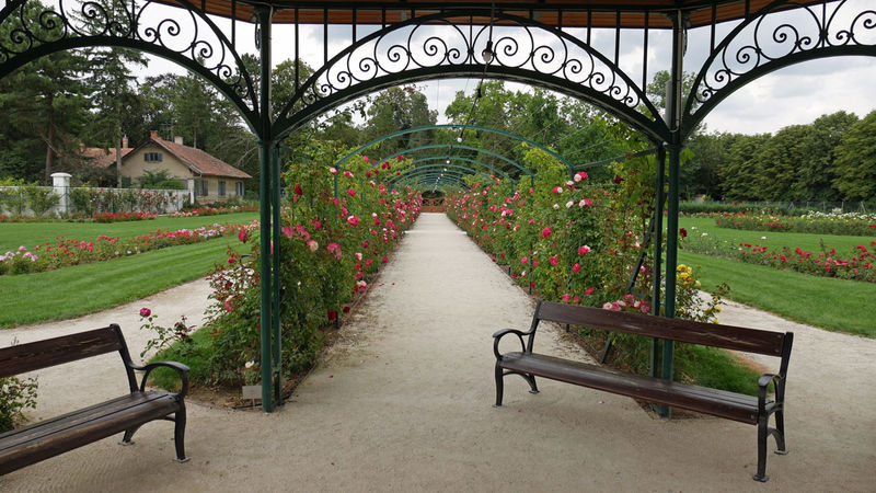 Rosarium - Esterháza (zamek w Fertőd)