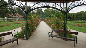 Rosarium Esterháza (zamek w Fertőd