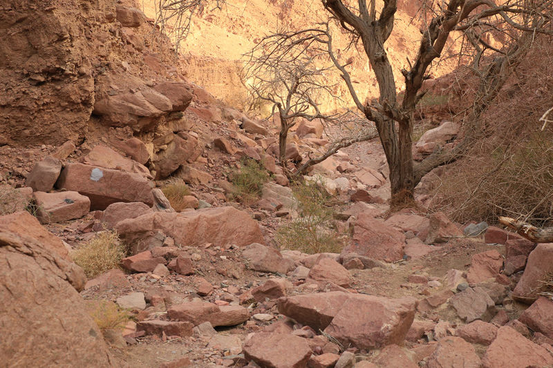 Fragment kamienistej trasy na górę Timna - Park Timna w Izraelu