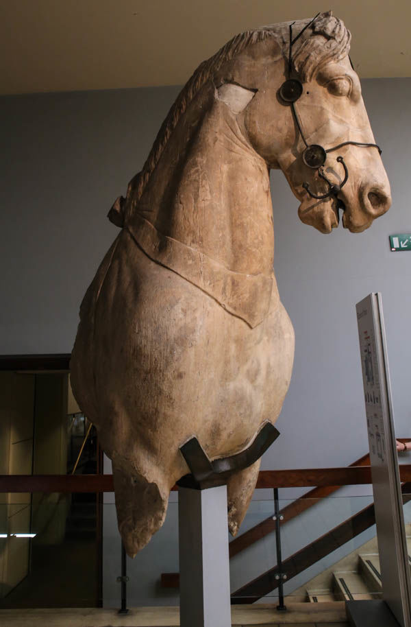 Fragment posągu konia z Mauzoleum w Halikarnasie - British Museum (Muzeum Brytyjskie) w Londynie