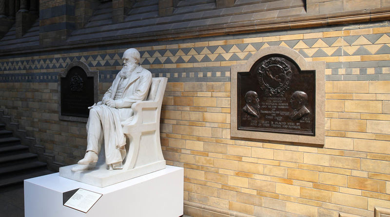 Charles Darwin - Muzeum Historii Naturalnej w Londynie