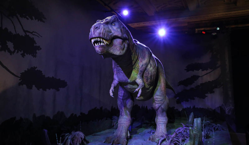 Model ruszającego się Tyrannosaurus rexa - Muzeum Historii Naturalnej (Natural History Museum) w Londynie