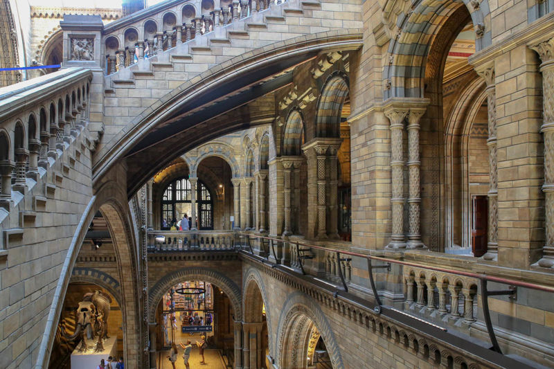 Wnętrze Muzeum Historii Naturalnej w Londynie