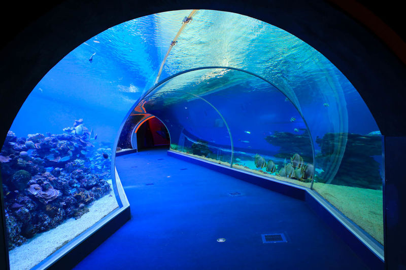 Tunel w Parku Podwodnego Obserwatorium w Ejlacie
