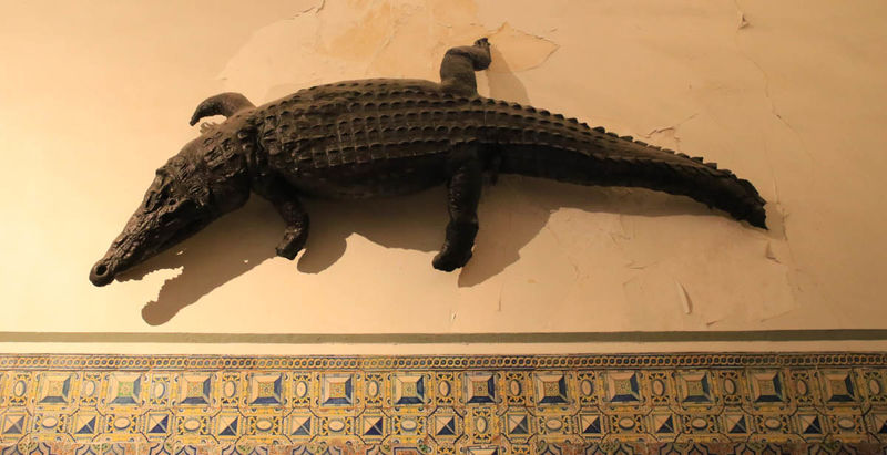 Aligator w przedsionku kościoła Iglesia del Patriarca w Walencji