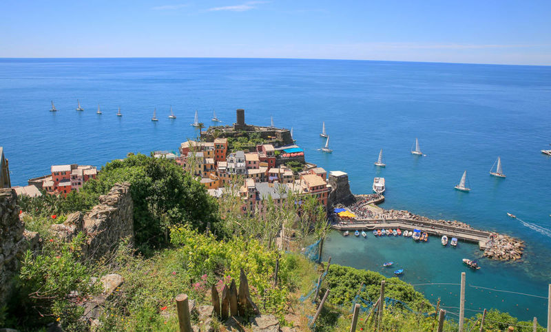 !Vernazza (Cinque Terre) - widok na miasteczko z okolicznych winnic