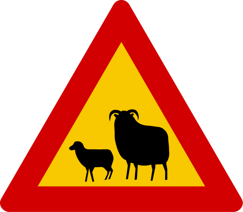 Znak ostrzegający przed owcami / ISLANDIA - ZNAKI DROGOWE (źródło: https://en.wikipedia.org/)