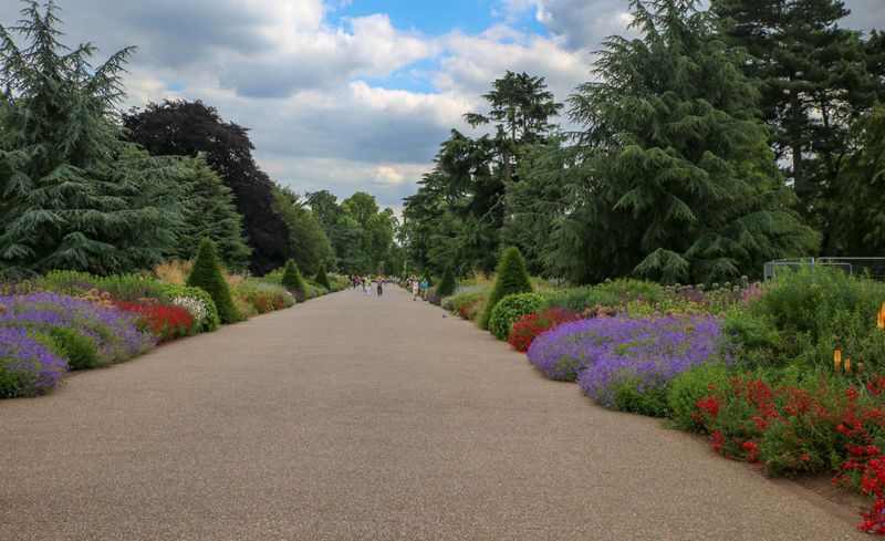 The Great Broad Walk - Promenada w Kew Gardens w Londynie