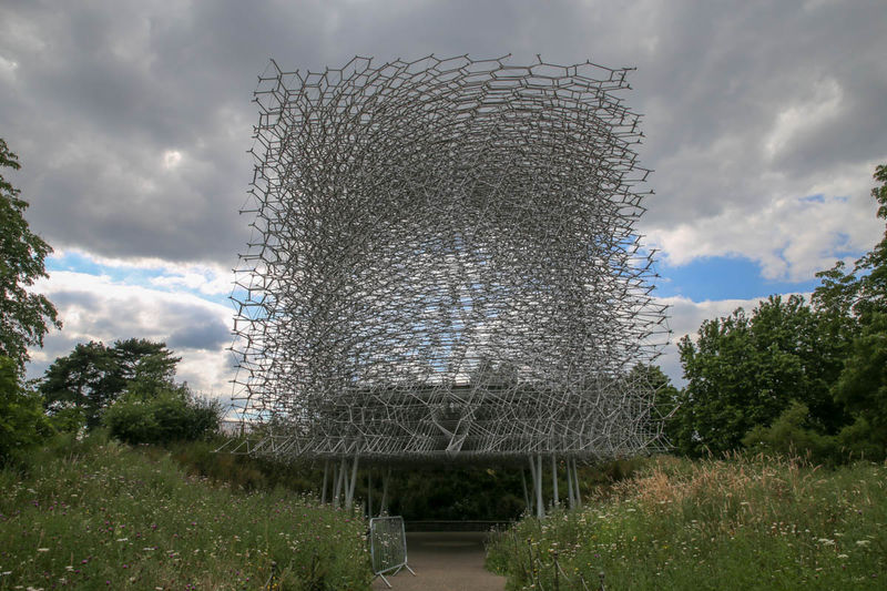 [Ul (The Hive) - ogrody Kew Gardens w Londynie]