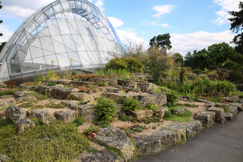 Ogród skalny (Rock Garden) i widok na The Davies Alpine House - Kew Gardens, Londyn
