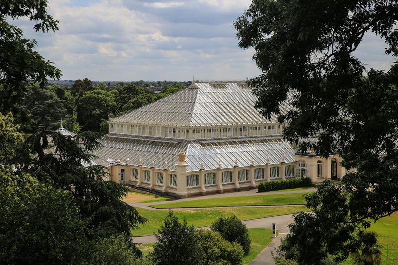 !Widok z The Treetop Walkway - Kew Gardens w Londynie