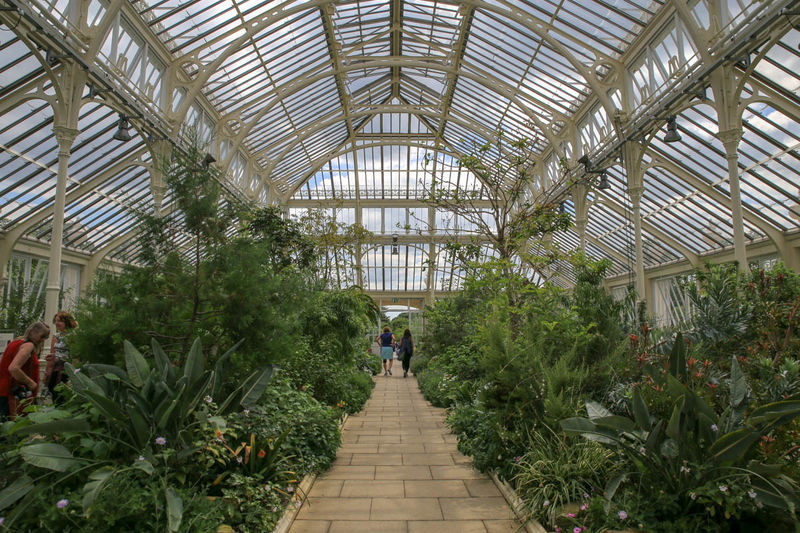 Jedno ze skrzydeł Temperate House - Kew Gardens w Londynie
