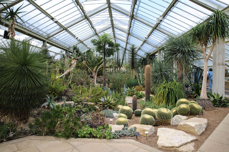 Princess of Wales Conservatory - Kew Gardens, Londyn