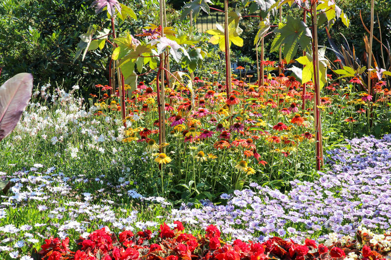 Flower Garden - Greenwich, Londyn