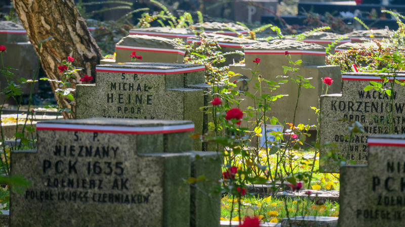 !Cmentarz Wojskowy na Powązkach w Warszawie
