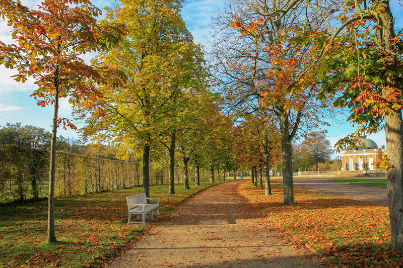 Spacer po Parku Sanssouci - Poczdam / [Za zgodą SPSG