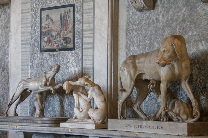 Sala Zwierząt - Muzeum Pio-Clementino, Muzea Watykańskie