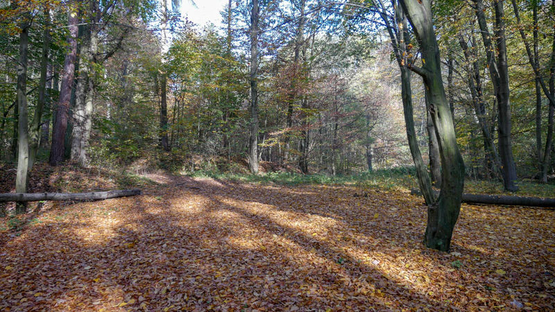 Park Krajobrazowy Góra Św. Anny