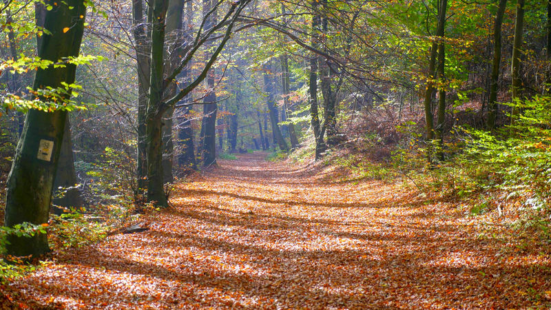 Park Krajobrazowy Góra Św. Anny