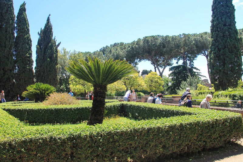 ! Farnese Garden - Палатин в Риме