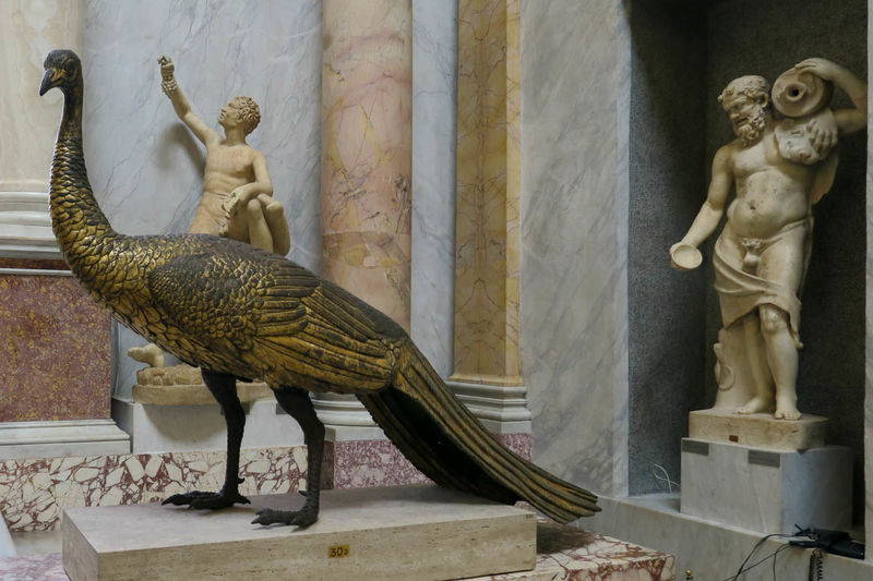 Jeden z pawi z Zamku św. Anioła - ekspozycja w Muzeach Watykańskich