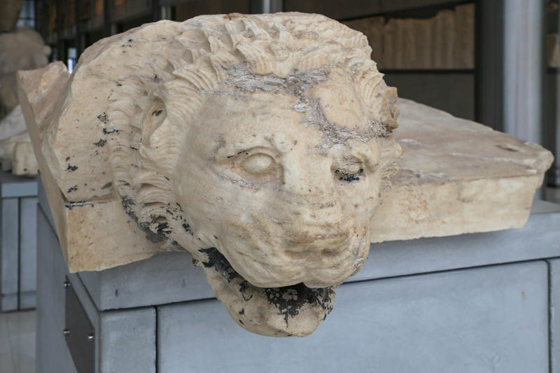 !Rzygacz (głowa lwa) z północno-wschodniego rogu Partenonu - Nowe Muzeum Akropolu w Atenach
