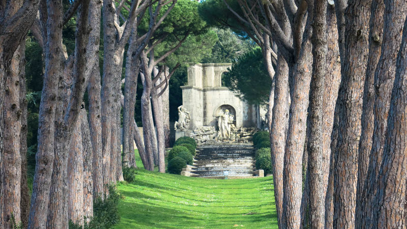 !Cyprysy w ogrodach papieskich - Castel Gandolfo
