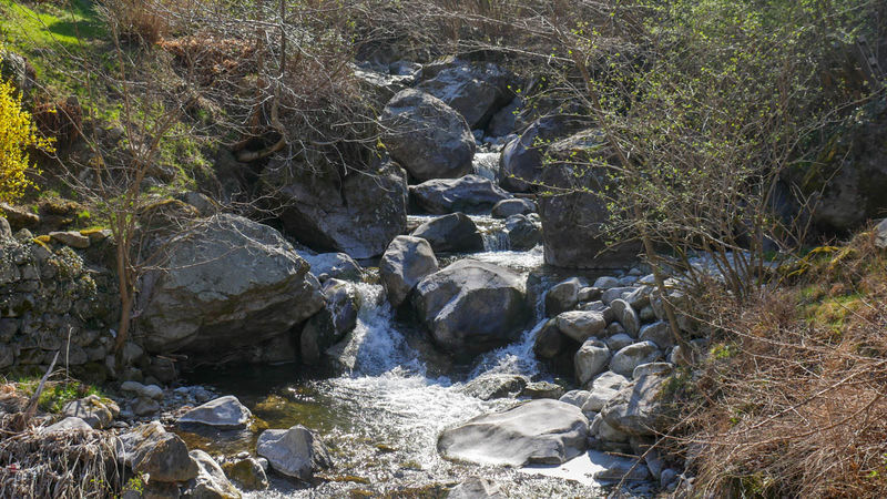 [Valcamonica]