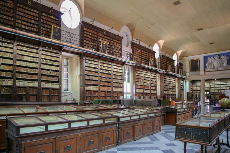 Wnętrze biblioteki - Valletta