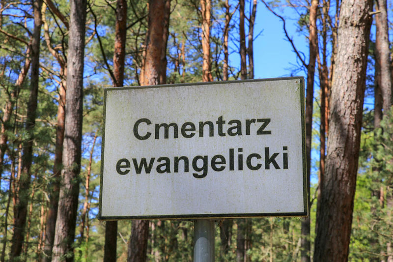 Cmentarz ewangelicki - okolice Wydmy Łąckiej (Słowiński Park Narodowy)