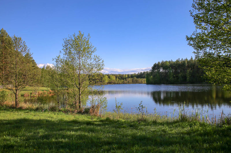 Jezioro Wałachy - Wdzydzki Park Krajobrazowy